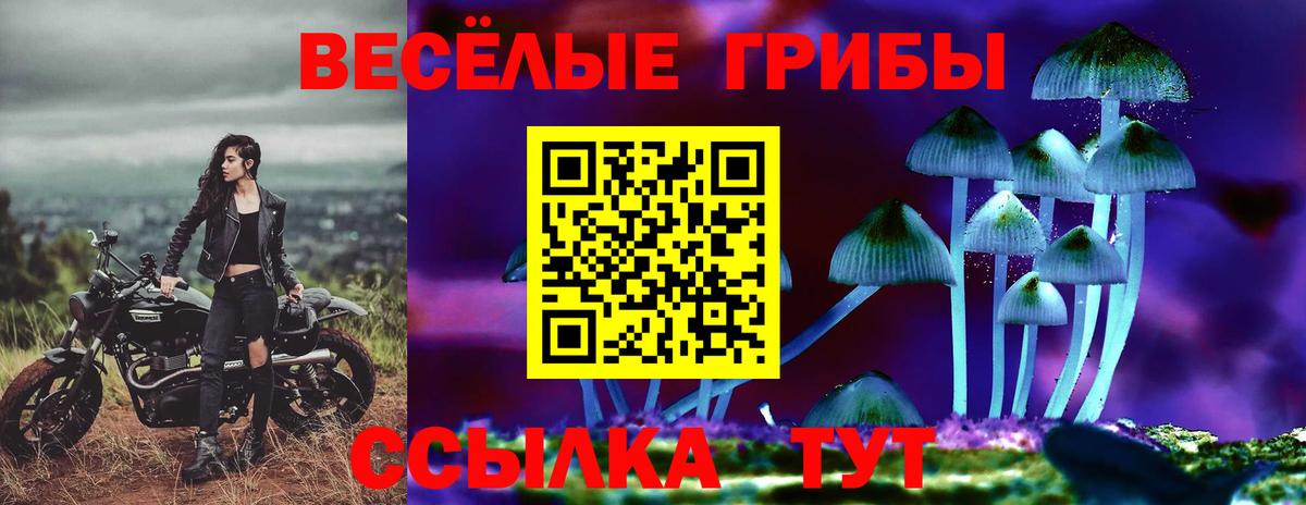 Псилоцибиновые грибы Magic Shrooms Сегежа