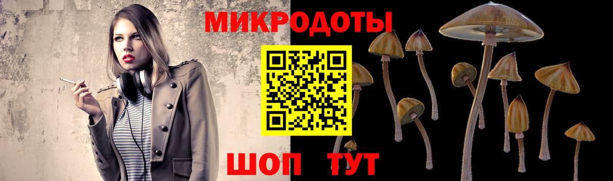 Сегежа  Псилоцибиновые грибы GOLDEN TEACHER  Вход с VPN  Псилоцибиновые грибы мухоморы 